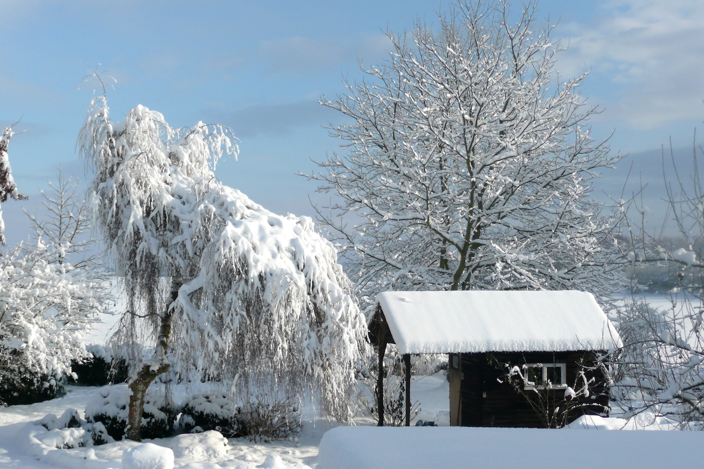 Frohe Weihnachten